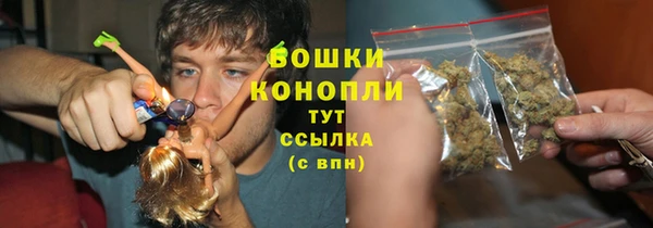 амф Краснослободск