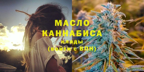 амф Краснослободск