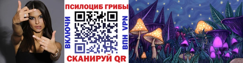 Купить где  Демидов  Псилоцибиновые грибы мухоморы 