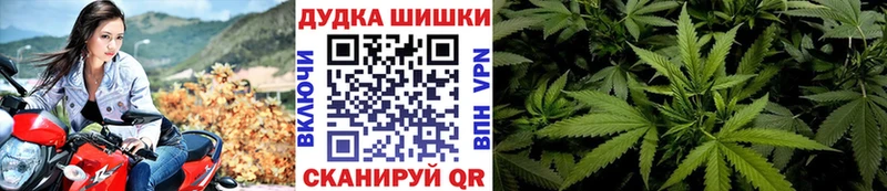 Купить  Демидов  Шишки марихуана марихуана 